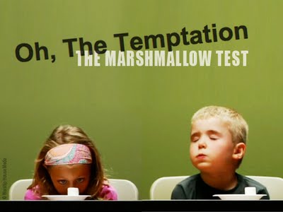marshmallow-test.jpg